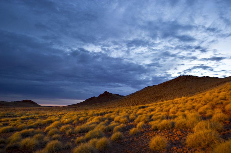 Yeelirrie Landscape