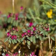 Slide image thumbnail