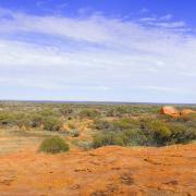 Slide image thumbnail